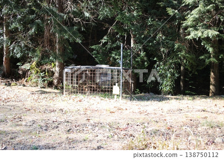 Box trap, trap, snare trap, capture trap Box trap, trap, snare trap, capture trap 138750112