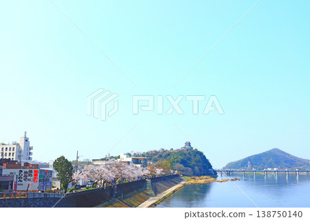愛知縣犬山市的犬山城和櫻花。 138750140