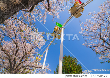 Meito Children's Land Todagawa in Spring: Cherry Blossoms in Full Bloom and the Cycle Monorail (Nagoya City, Aichi Prefecture) Meito Children's Land Todagawa in Spring: Cherry Blossoms in Full Bloom and the Cycle Monorail (Nagoya City, Aichi Prefecture) 138750577