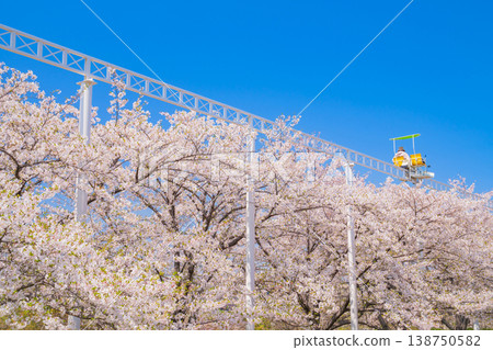 明都兒童樂園戶田川春景:櫻花盛開與自行車單軌列車(愛知縣名古屋市) 明都兒童樂園戶田川春景:櫻花盛開與自行車單軌列車(愛知縣名古屋市) 138750582