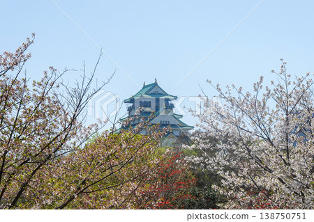 櫻花盛開時節漫步大阪城及大本營區(攝於2026年4月) 櫻花盛開時節漫步大阪城及大本營區(攝於2026年4月) 138750751