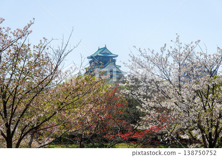 櫻花盛開時節漫步大阪城及大本營區(攝於2026年4月) 櫻花盛開時節漫步大阪城及大本營區(攝於2026年4月) 138750752