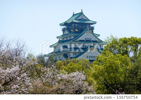 A stroll around Osaka Castle and the OBP area during cherry blossom season (photographed in April 2026) 138750754