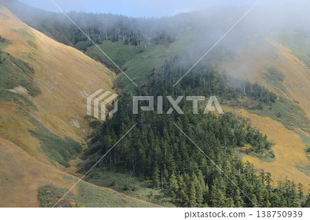 Autumn colors adorn the mountainside with colorful grasses and the boundary between coniferous forests; clouds drift in between the mountains. Autumn colors adorn the mountainside with colorful grasses and the boundary between coniferous forests; clouds drift in between the mountains. 138750939
