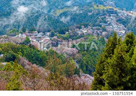 吉野的櫻花樹 138751554