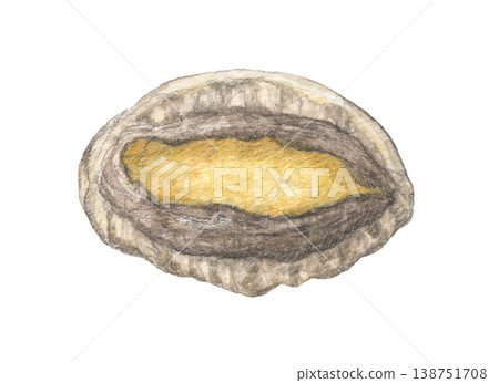 Abalone in its shell - watercolor pencil illustration 138751708