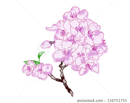 水彩風格的櫻花 水彩風格的櫻花 138751755