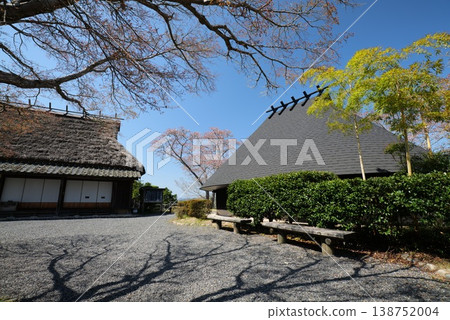 城山公園 50991 138752004