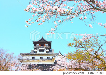 Inuyama Castle and cherry blossoms in Inuyama City, Aichi Prefecture. Inuyama Castle and cherry blossoms in Inuyama City, Aichi Prefecture. 138752180