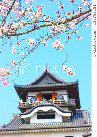 Inuyama Castle and cherry blossoms in Inuyama City, Aichi Prefecture. Inuyama Castle and cherry blossoms in Inuyama City, Aichi Prefecture. 138752181