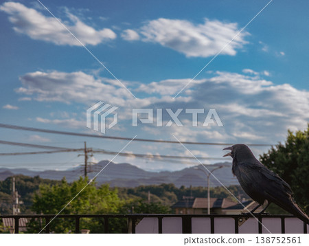 Summer sky and the cawing of crows Summer sky and the cawing of crows 138752561