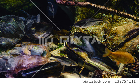 Problem of plastic pollution under the sea 138754111