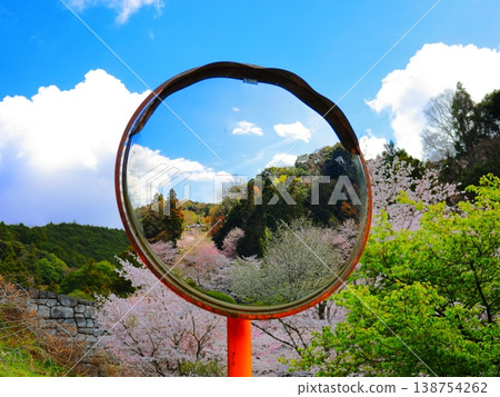 山間櫻花景色和凸面鏡 山間櫻花景色和凸面鏡 138754262