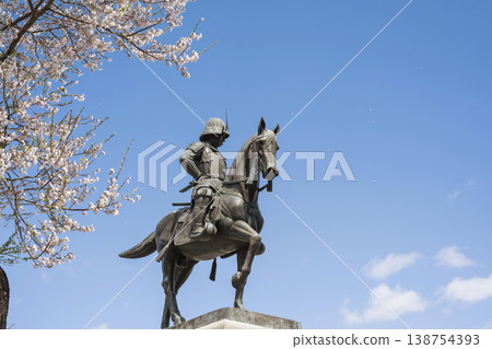 Date Masamune Statue and cherry blossoms 138754393