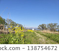 Landscape with rape blossoms 138754672