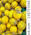 Yellow striped melons piled together in a vibrant display, showcasing their unique patterns and textures in a market setting 138755048