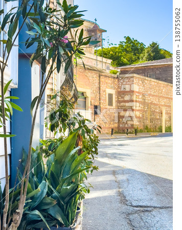 Green plants and foliage beside a cobblestone street in a historic town with stone buildings and clear blue sky above 138755062