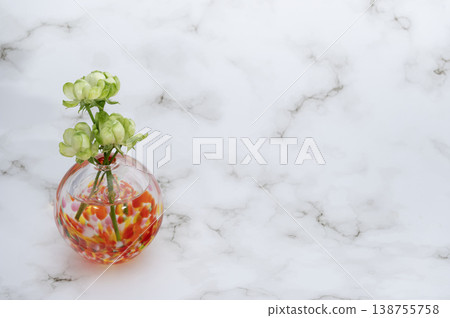 Four green spray roses, 'Eclair', arranged in a warm-colored single-flower vase against a bright background (placed on the left). Four green spray roses, 'Eclair', arranged in a warm-colored single-flower vase against a bright background (placed on the left). 138755758