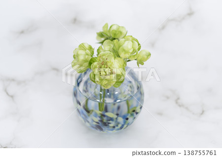 A single green spray rose, 'Eclair,' arranged in a cool-toned vase against a bright background (center placement). 138755761