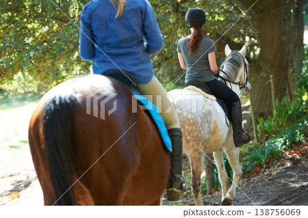 People, horse riding or woman in countryside outdoor with rider or jockey for recreation or wellness. Freedom, team or athletes with a healthy pet animal for training, exercise or support on farm People, horse riding or woman in countryside outdoor with rider or jockey for recreation or wellness. Freedom, team or athletes with a healthy pet animal for training, exercise or support on farm 138756069