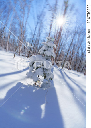 北海道的冬季森林:銀裝素裹的雪景和雪地健行的景象。 北海道的冬季森林:銀裝素裹的雪景和雪地健行的景象。 138756351