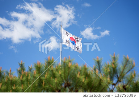 South Korean National Flag (Taegeukgi) Waving in the Wind with Pine Trees under Blue Sky South Korean National Flag (Taegeukgi) Waving in the Wind with Pine Trees under Blue Sky 138756399