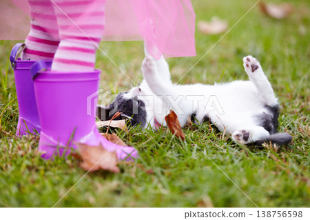 Kitten, playful and kid on grass in garden for bond, fun or development for curiosity. Girl, dress and pulling by cat while lying in backyard for childhood memory, love and pet care together by home Kitten, playful and kid on grass in garden for bond, fun or development for curiosity. Girl, dress and pulling by cat while lying in backyard for childhood memory, love and pet care together by home 138756598