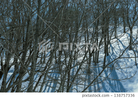 Ski resort, Hakuba Village, Nagano Prefecture Ski resort, Hakuba Village, Nagano Prefecture 138757336