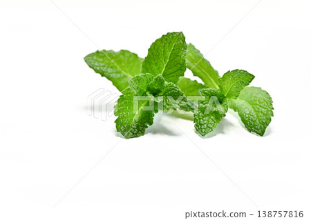 薄荷 薄荷 138757816
