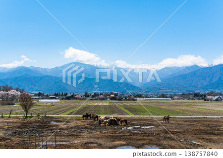 Horse Land 安曇野馬和北阿爾卑斯 Horse Land 安曇野馬和北阿爾卑斯 138757840