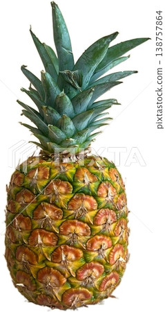 pineapple  138757864