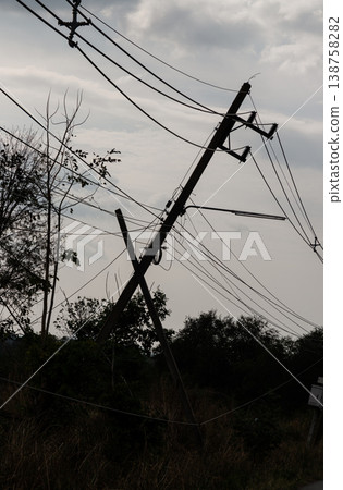 A utility pole leans at a precarious angle, appearing to have snapped or become uprooted from the ground as it is weighed down by a tangled web of sagging power lines. In the overgrown foreground, A utility pole leans at a precarious angle, appearing to have snapped or become uprooted from the ground as it is weighed down by a tangled web of sagging power lines. In the overgrown foreground, 138758282
