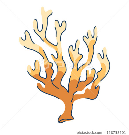 Alcyonacea soft coral, colonial marine organisms composed of many small polyps in orange hues 138758501