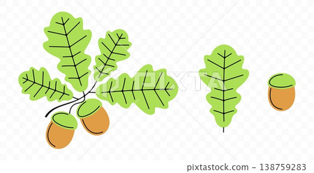 Oak, acorn, leaf and leaves, graphic design. Nature, tree, branch and plant, vector design and illustration Oak, acorn, leaf and leaves, graphic design. Nature, tree, branch and plant, vector design and illustration 138759283