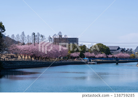 [春] 德島中央公園蜂須賀櫻花 138759285