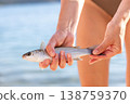 Hands hold freshly caught silver fish above calm sea water during warm summer vacation at beach. Natural coastal fishing moment marine wildlife sunlight reflections texture scales fins closeup detail 138759370