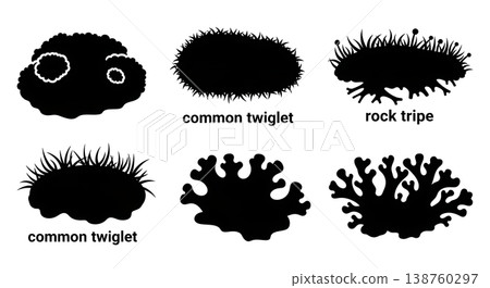 Set of Six Unique Black Solid Moss and Lichen Silhouettes 138760297