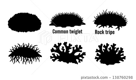 Set of Six Unique Black Solid Moss and Lichen Silhouettes Set of Six Unique Black Solid Moss and Lichen Silhouettes 138760298