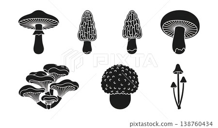 Set of Six Black Solid Mushroom and Fungi Silhouettes Set of Six Black Solid Mushroom and Fungi Silhouettes 138760434
