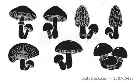 Set of Six Black Solid Mushroom and Fungi Silhouettes Set of Six Black Solid Mushroom and Fungi Silhouettes 138760435