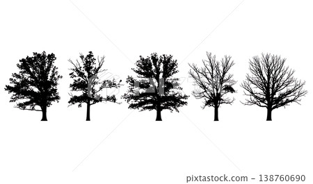 Black Solid Late Autumn Oak Tree Silhouettes Set of Six Black Solid Late Autumn Oak Tree Silhouettes Set of Six 138760690