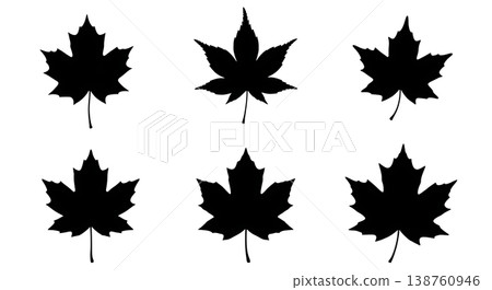 Black Solid Maple Leaf Variety Silhouettes Set of Six on White Background Black Solid Maple Leaf Variety Silhouettes Set of Six on White Background 138760946