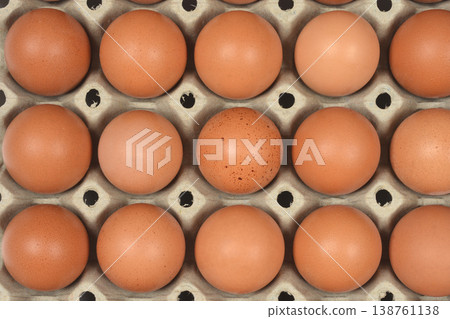 Brown eggs in a cardboard carton tray Brown eggs in a cardboard carton tray 138761138