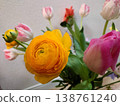 Colorful tulip flowers 138761240