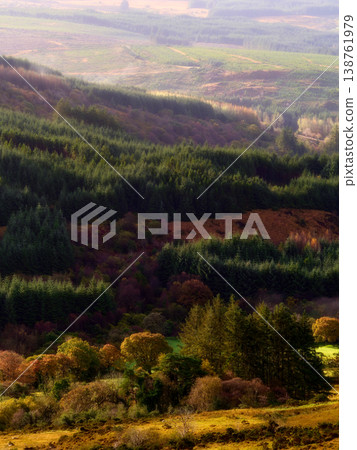 A layered vista showcases the transition of seasons, with dark green evergreens providing a dramatic contrast to the fiery palette of autumn leaves in the distance. 138761979
