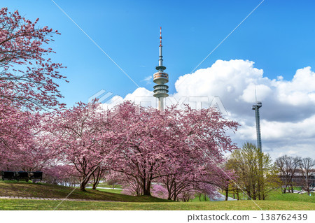 Cherry blossoms in Munich, Germany. Pink cherry blossoms with a blue and cloudy sky background. Spring in Germany. Cherry blossoms in Munich, Germany. Pink cherry blossoms with a blue and cloudy sky background. Spring in Germany. 138762439