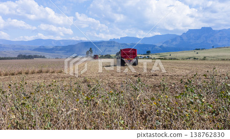 Agriculture Harvesting Tractor Grain Loader Field Agriculture Harvesting Tractor Grain Loader Field 138762830