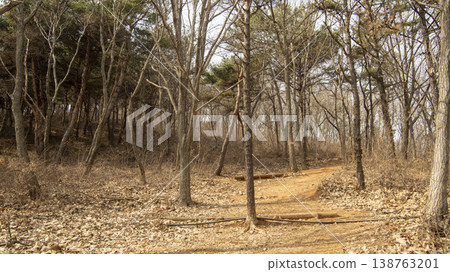 Ansan City Gubongdo 138763201
