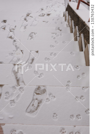 Human Footprints and Dog Paw Prints in Fresh Snow on Outdoor Concrete Stairs Human Footprints and Dog Paw Prints in Fresh Snow on Outdoor Concrete Stairs 138763432
