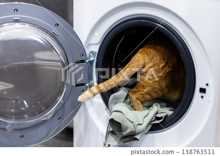 Cat hides peacefully. Ginger feline comfortably settling into soft fabric surroundings 138763511